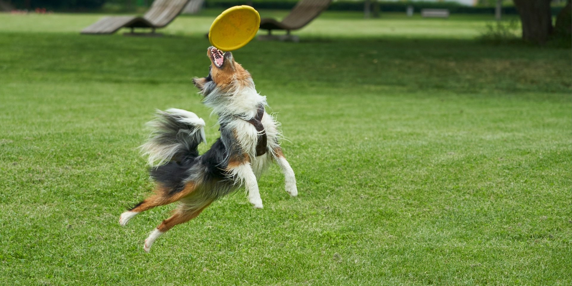 Profit Over Top-Line