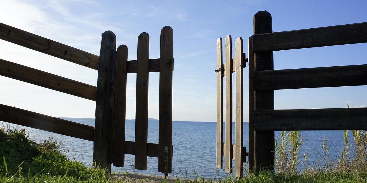 The “Clean Exit” Retention Play